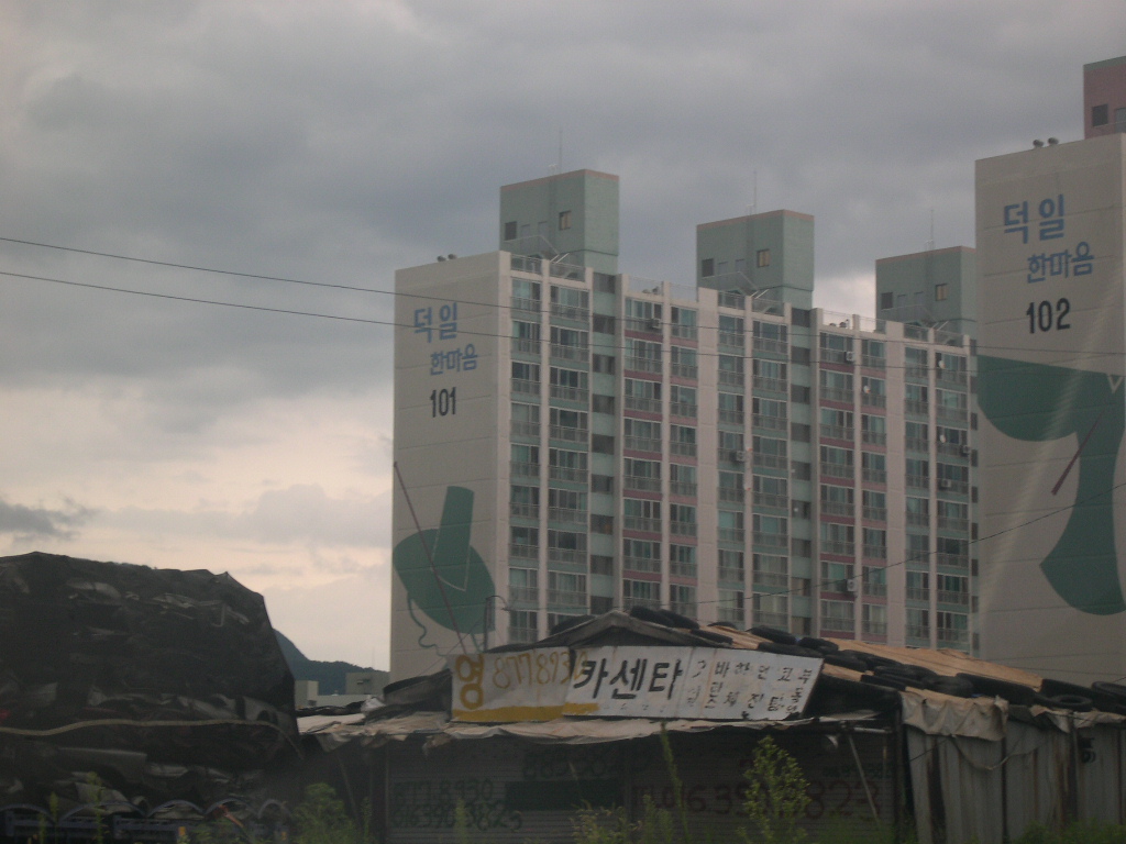 이미지 13