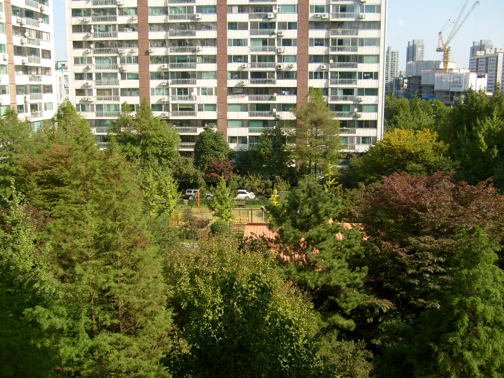 �������� - ������������