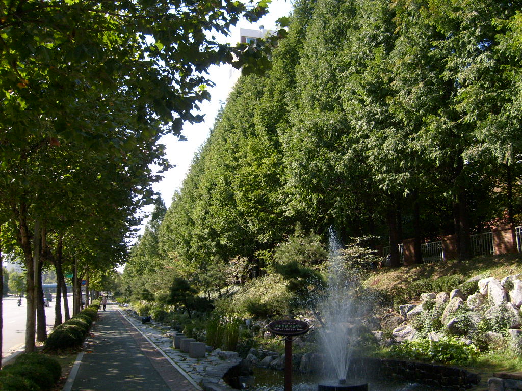 �����ֺ��ü� - �ֺ�����