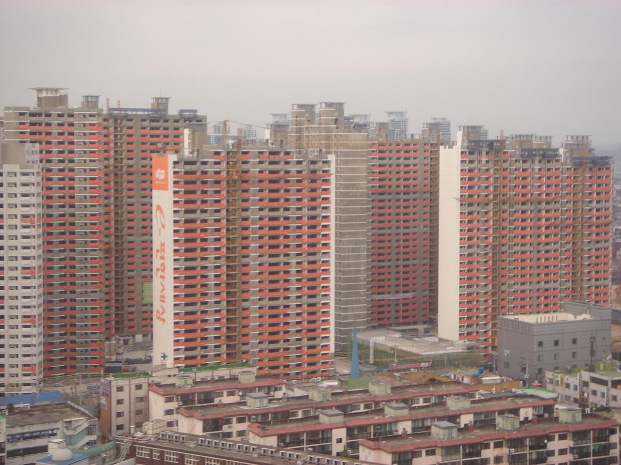 簳/ -  
