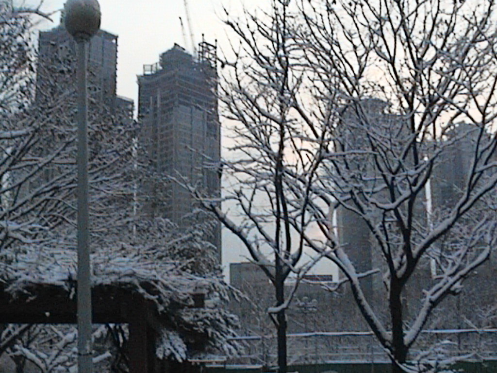 �������� - ��������