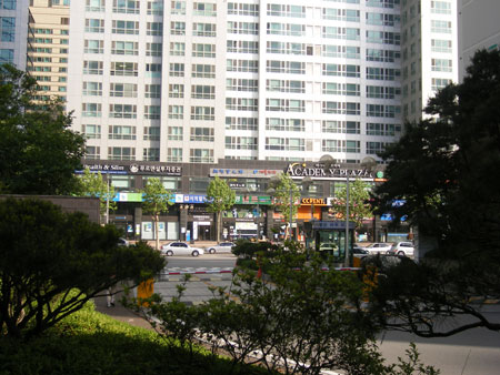 �����ֺ��ü� - �ֺ�����