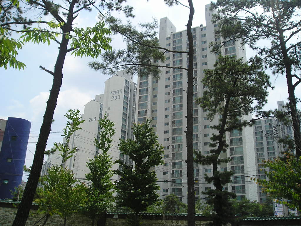 이미지 5
