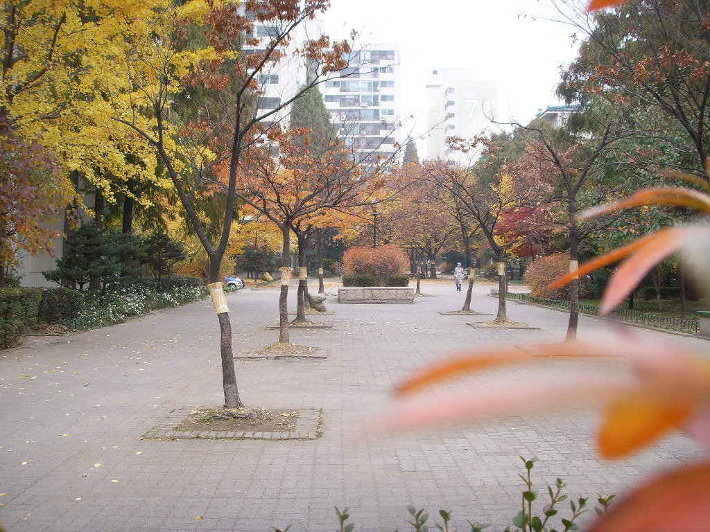 �������ü� - ��å��(����)