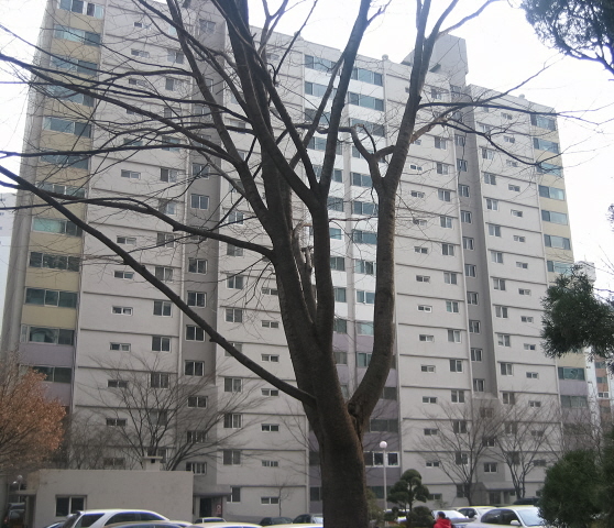 �������� - ��������