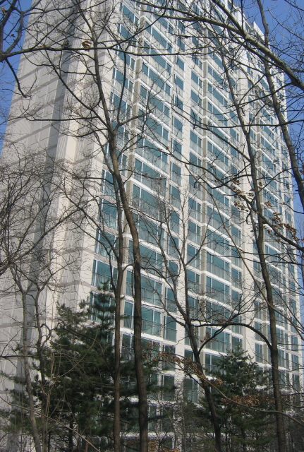 �������� - ��������