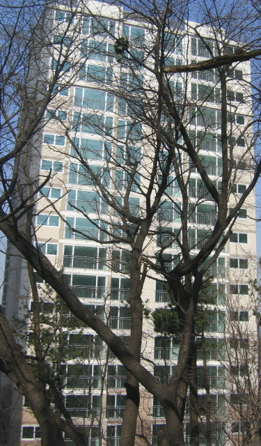 �������� - ��������