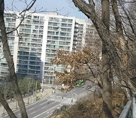 �����ֺ��ü� - �ֺ�����