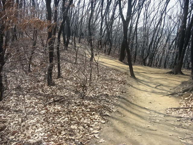 �����ֺ��ü� - �ް�/����