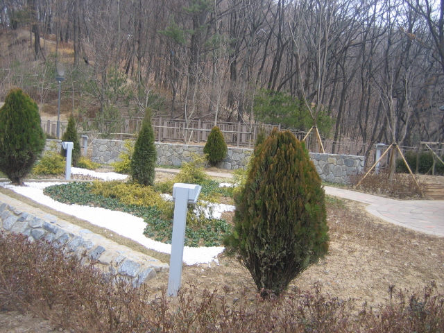 �������ü� - ����ü�