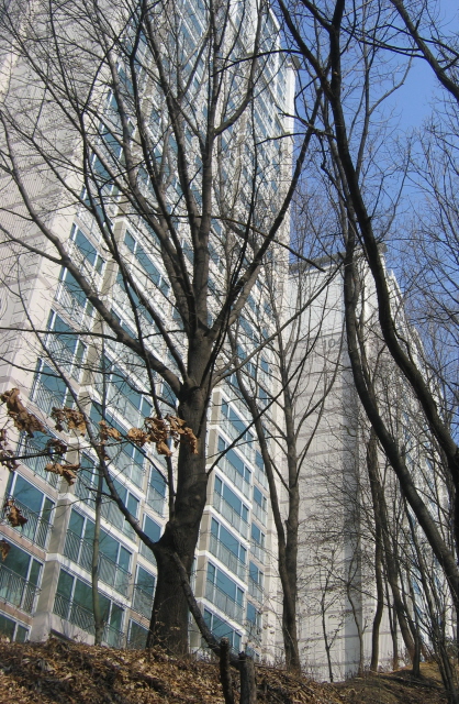 �������� - ��������