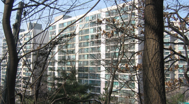 �������� - ��������