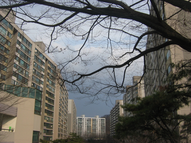 �������� - ��������