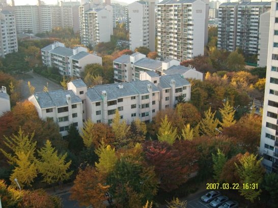 �ܺ����� - ��