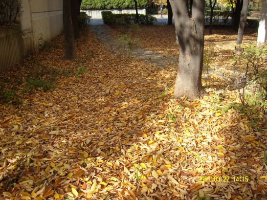 �������� - ������������