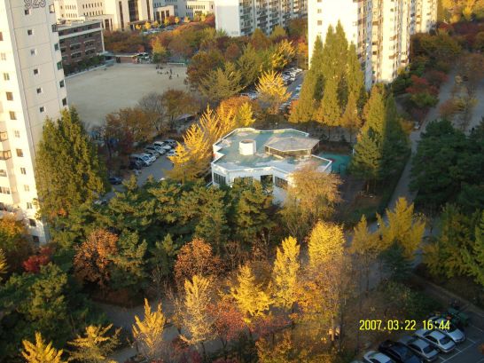 �ܺ����� - ��