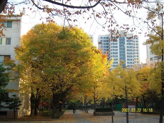 �������� - ������������