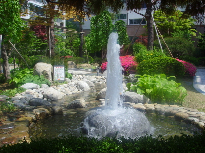 �������ü� - ����ü�