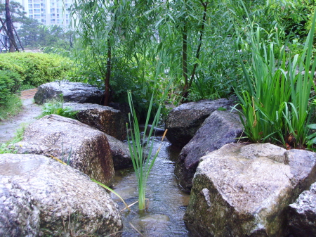 �������ü� - ����ü�