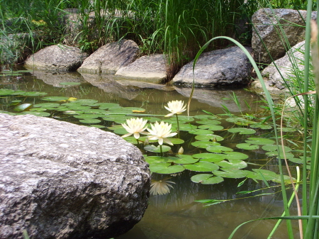 �������ü� - ����ü�