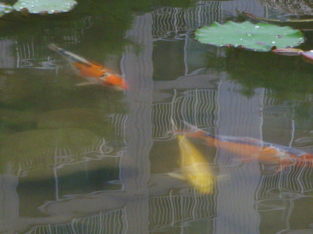 �������ü� - ����ü�