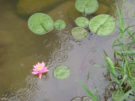 �������ü� - ����ü�