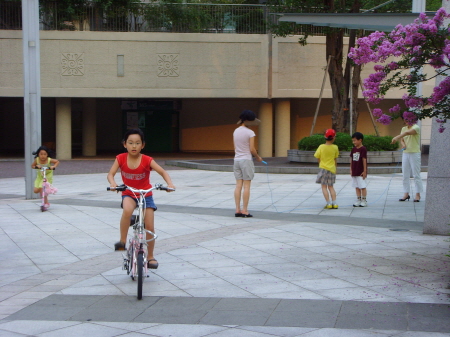 �������ü� - ������