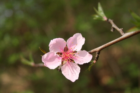�����ֺ��ü� - �ް�/����