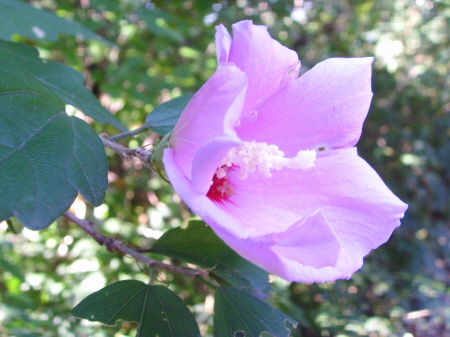 �����ֺ��ü� - �ް�/����