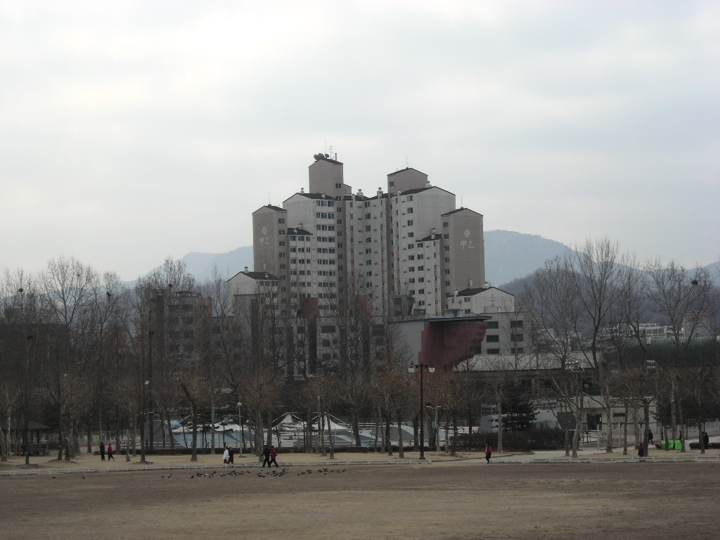 이미지 5